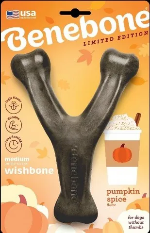 1ea Benebone Wishbone Pumpkin Spice Medium - Treats